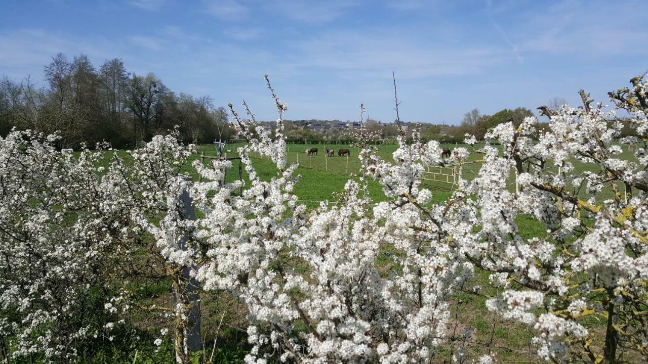 莫塔内斯酒店 Saint-Hilaire-sur-Helpe 外观 照片